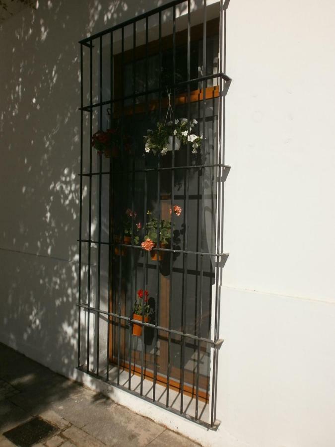 Casa En Plaza De La Merced_Centro Flamenco_كاديز المظهر الخارجي الصورة